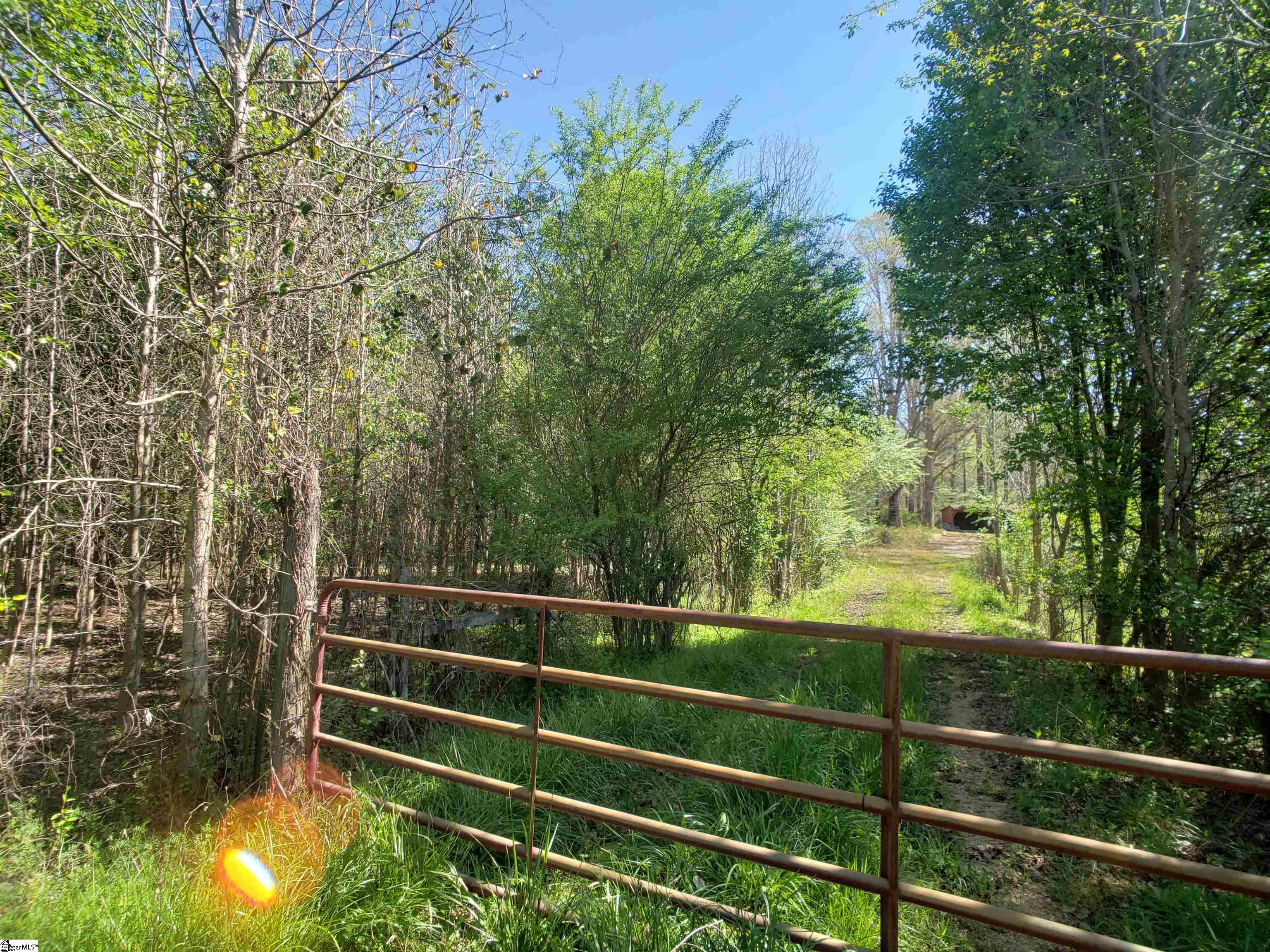 2353 Mays Bridge Road Greer, SC 29651 - Photo 12 of 24