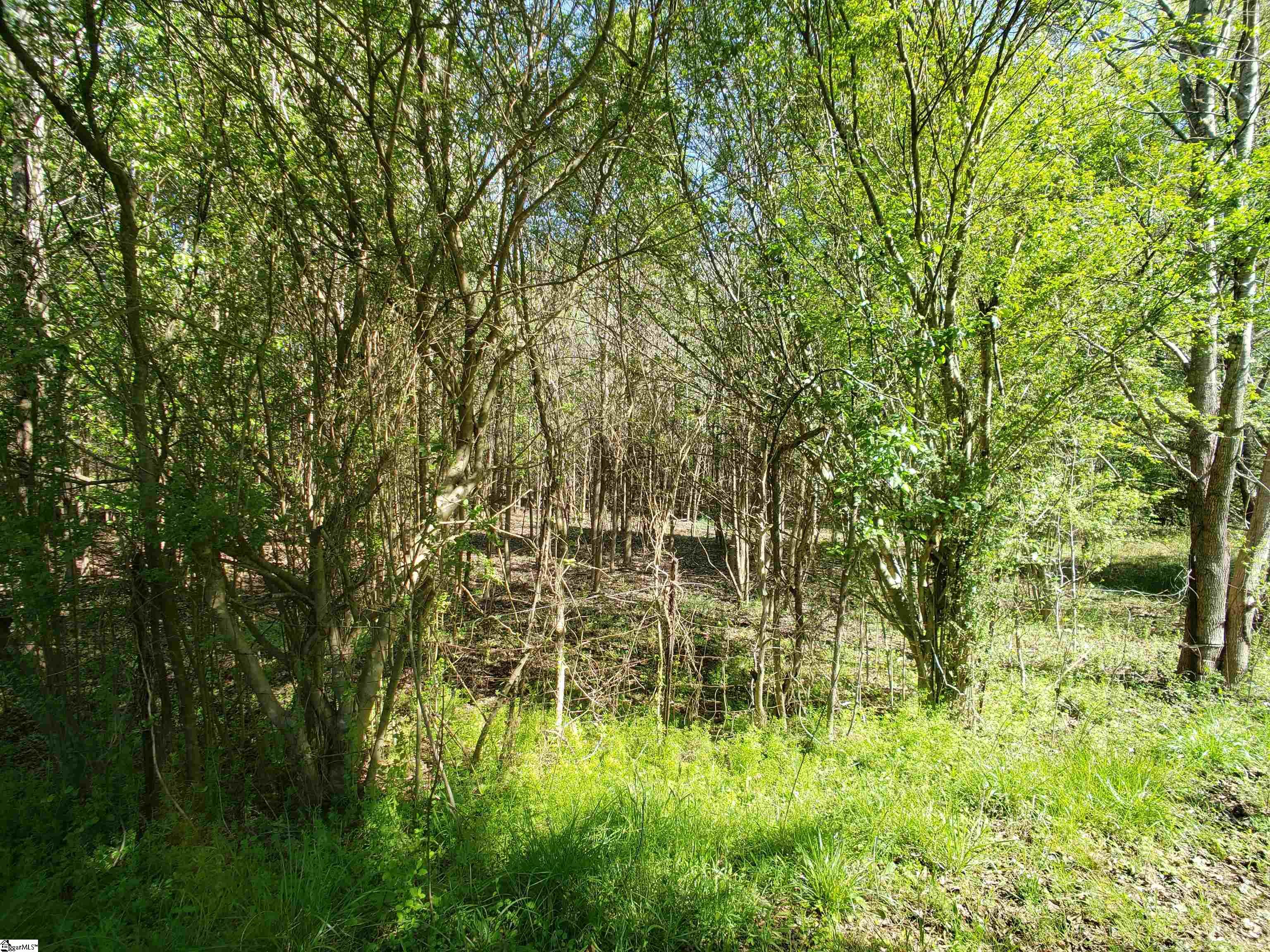 2353 Mays Bridge Road Greer, SC 29651 - Photo 13 of 24