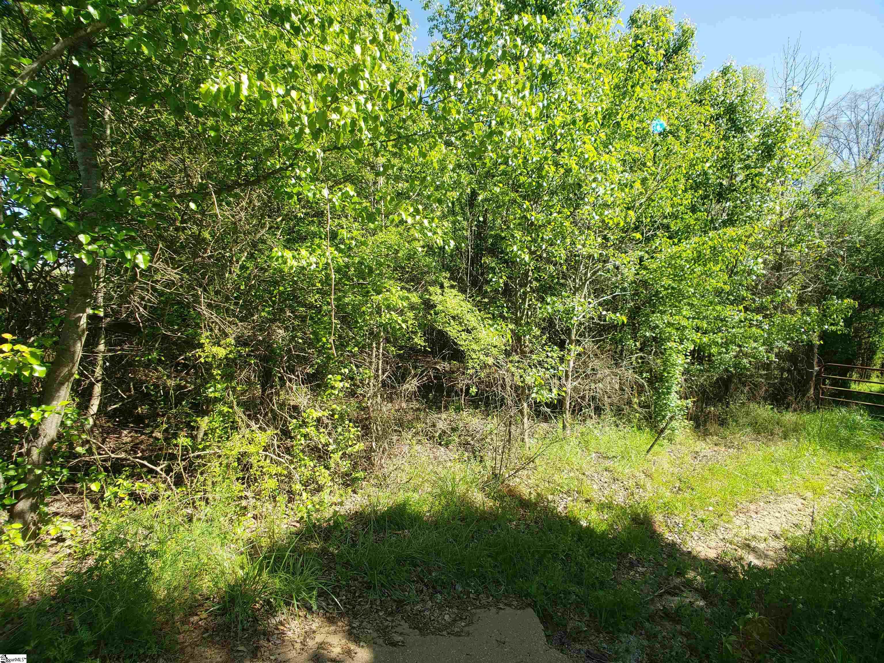 2353 Mays Bridge Road Greer, SC 29651 - Photo 21 of 24