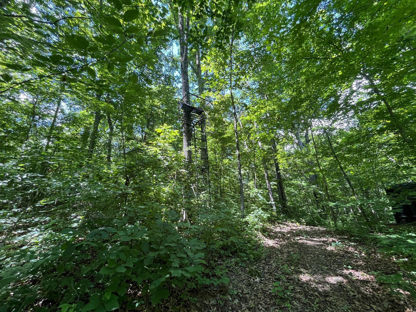 0 Water Works Hill Road Glouster, OH 45732 - Photo 12 of 35 11