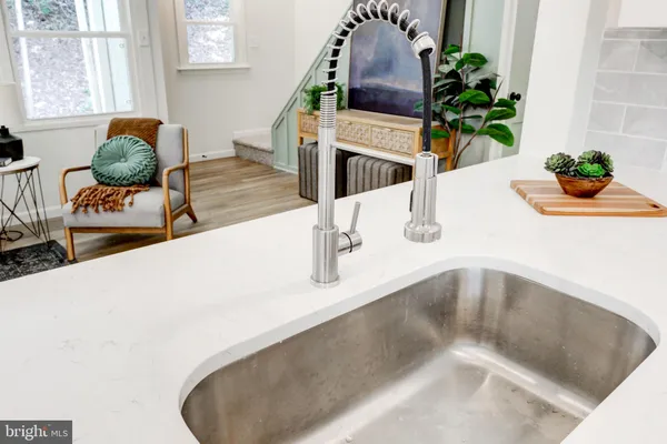 a kitchen with a sink and a potted plant