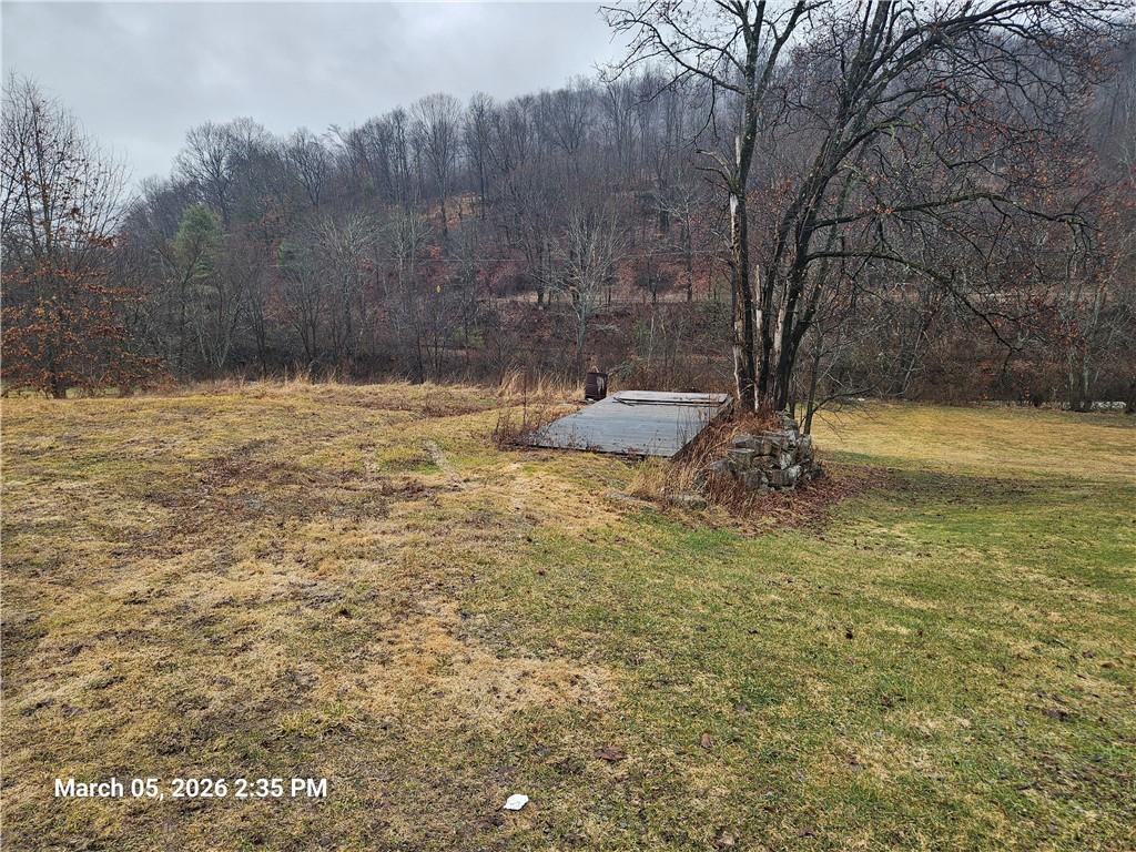 233 Main Street Bruin, PA 16022 - Photo 12 of 12 a view of a yard with an trees