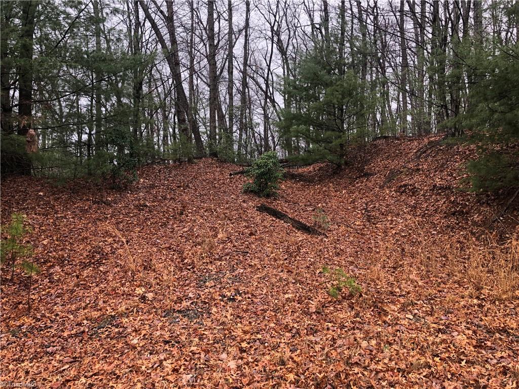 Lot 105 Pepper Bush Road Purlear, NC 28665 - Photo 5 of 25