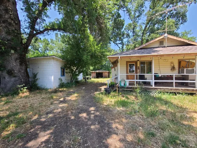 a backyard of a house with plants and large tree