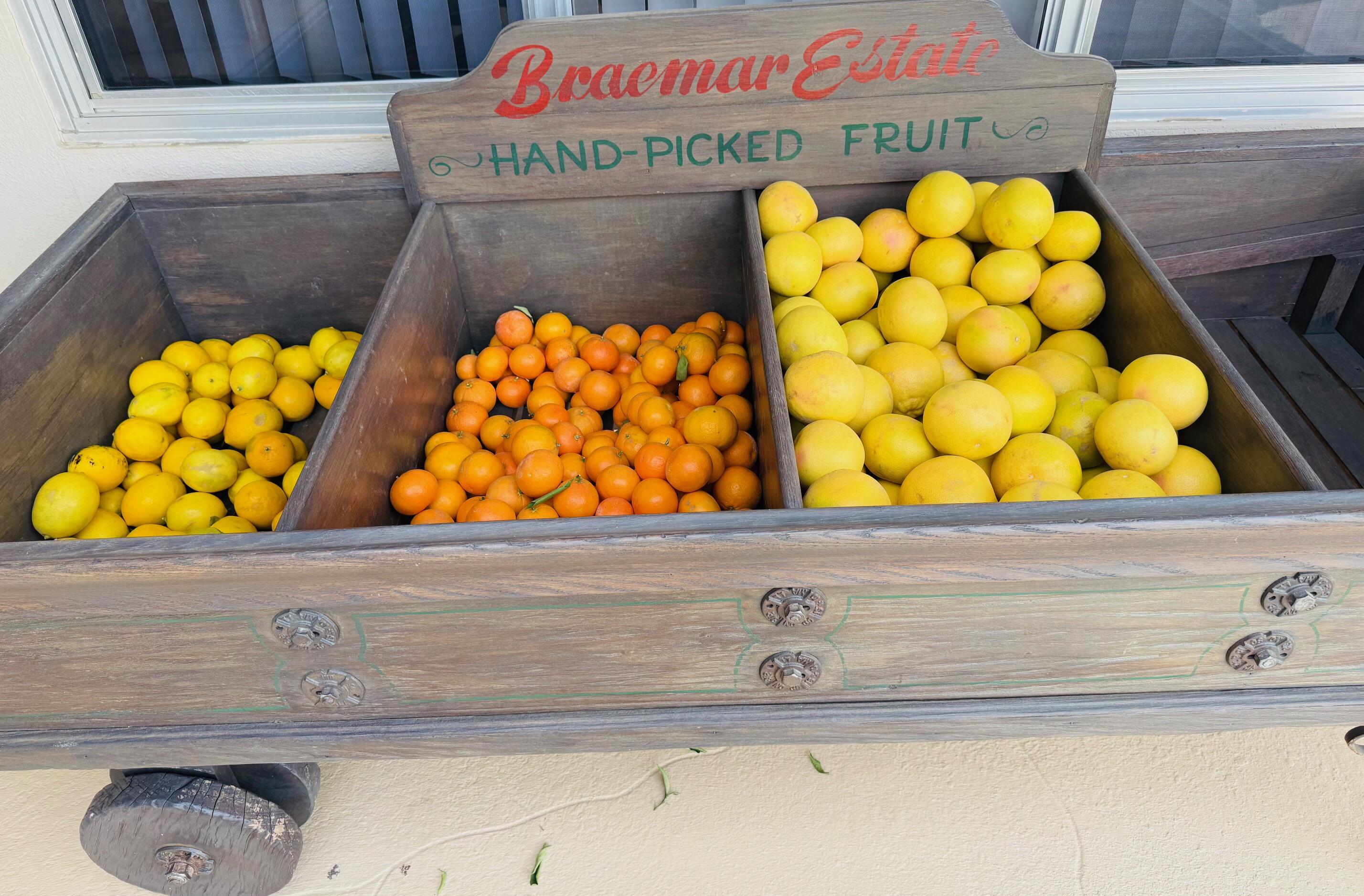 69850 Hwy 111 Rancho Mirage Ca, Unit 13 Rancho Mirage, CA 92270 - Photo 33 of 52 Fruit Hand Picked By Staff