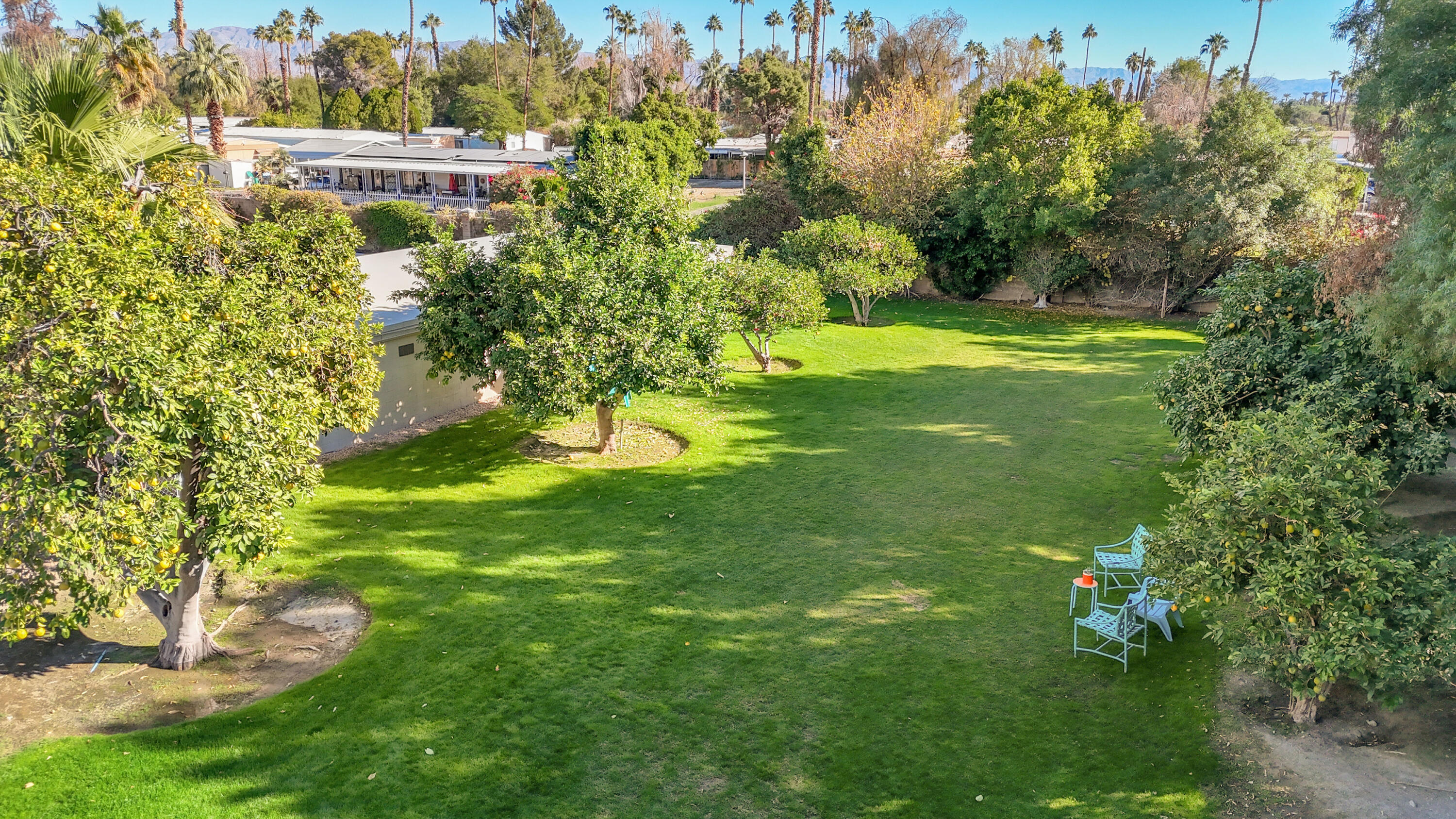 69850 Hwy 111 Rancho Mirage Ca, Unit 13 Rancho Mirage, CA 92270 - Photo 48 of 52 Huge Dog Park