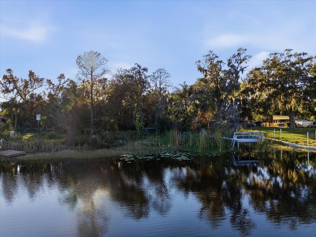 16921 Crawley Road Odessa, FL 33556 - Photo 3 of 53