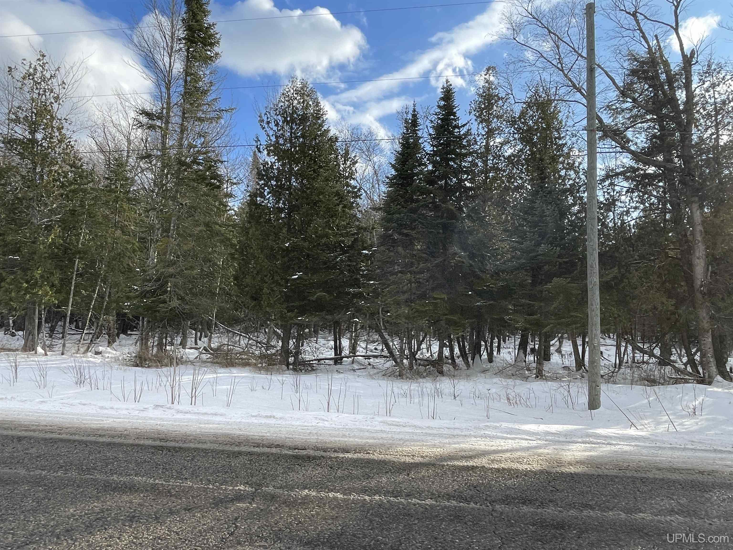 Tbd McDonald Lk Road Gulliver, MI 49840 - Photo 11 of 16