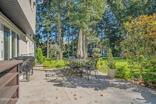 a view of a park with large trees