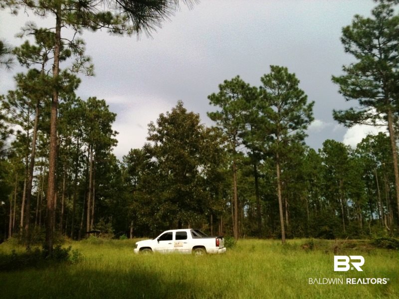 0 Lott Road Citronelle, AL 36522 - Photo 2 of 10