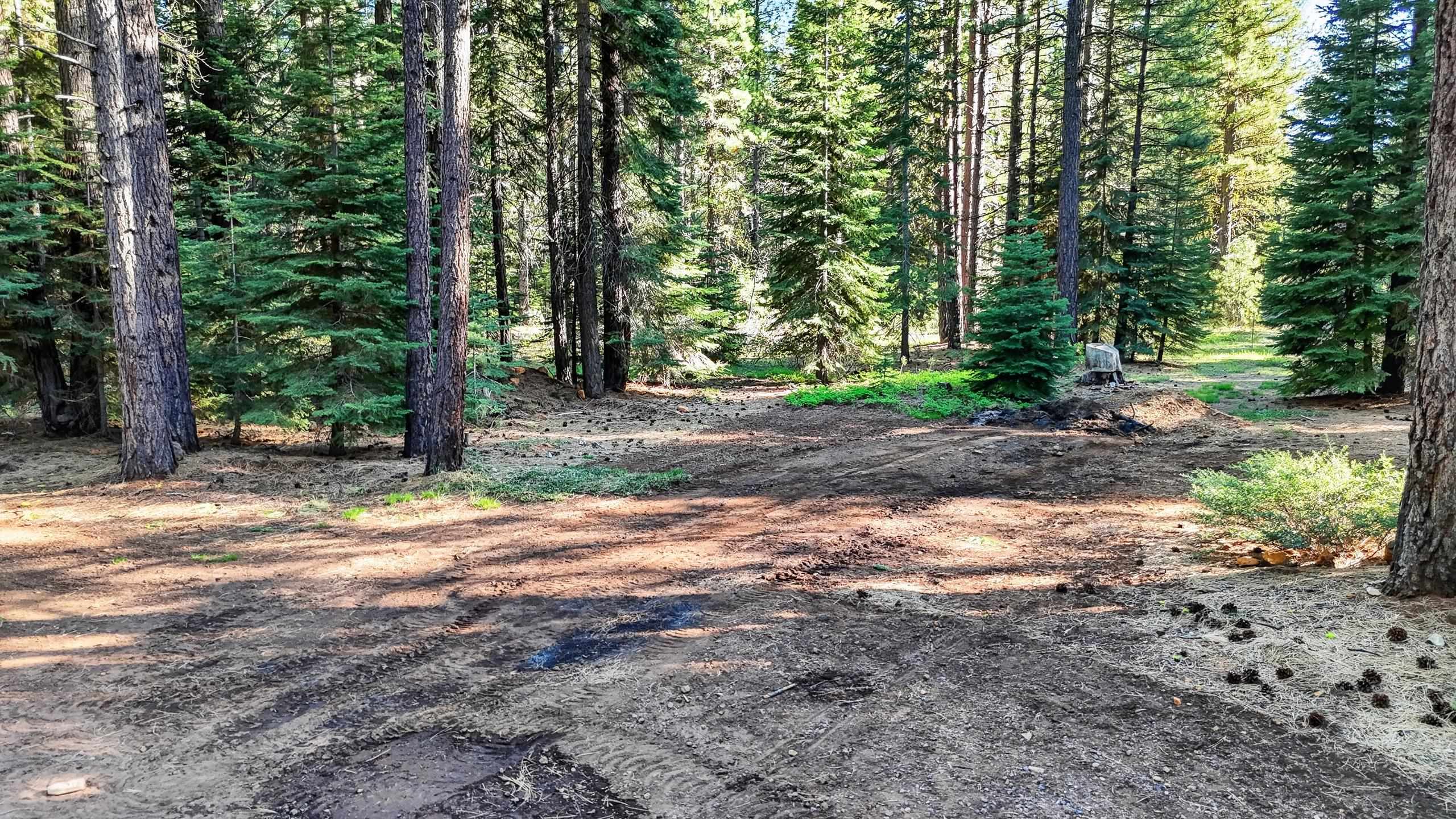 463-000 Moonlight Ranch Rd Westwood Road Susanville, CA 96130 - Photo 45 of 46 a view of a yard with plants and trees