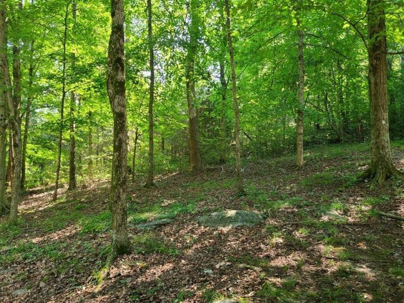 3176 Dixie Bend Road Burnside, KY 42519 - Photo 3 of 23 Photo 3