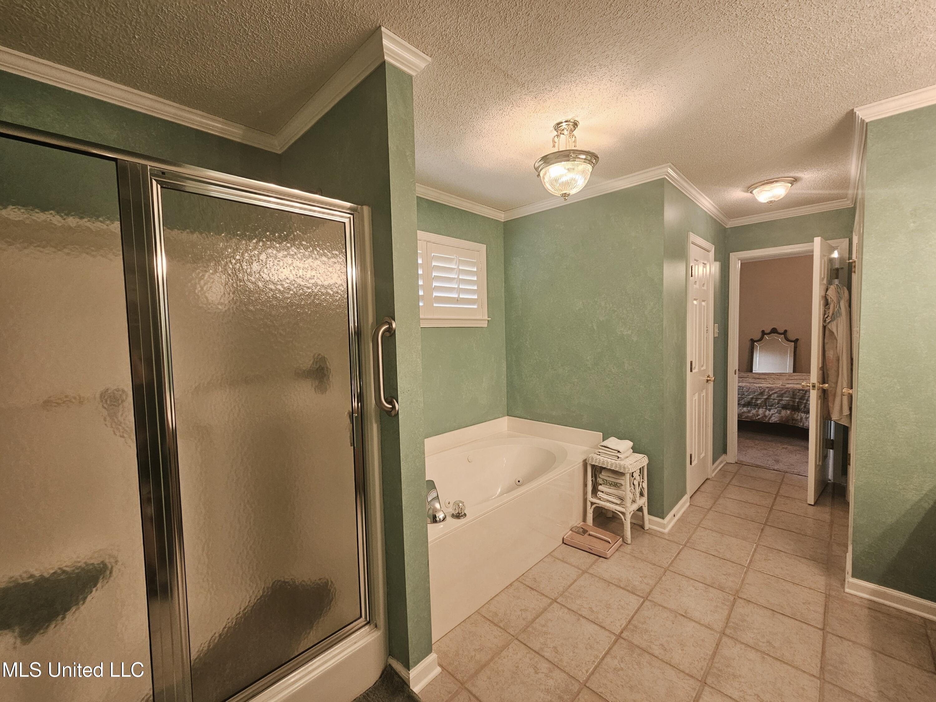1495 Holly Springs Road Hernando, MS 38632 - Photo 17 of 29 1495 Holly Springs Road (25)