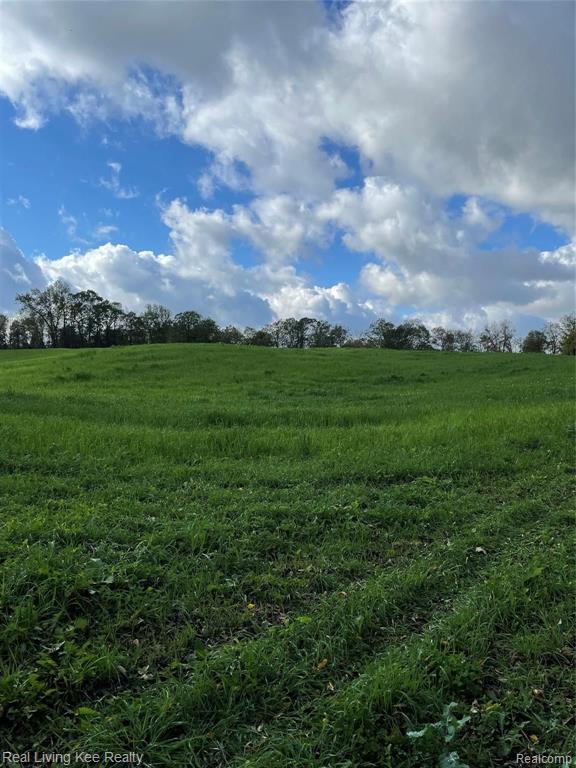 V/l Delano Road Oxford, MI 48371 - Photo 6 of 7