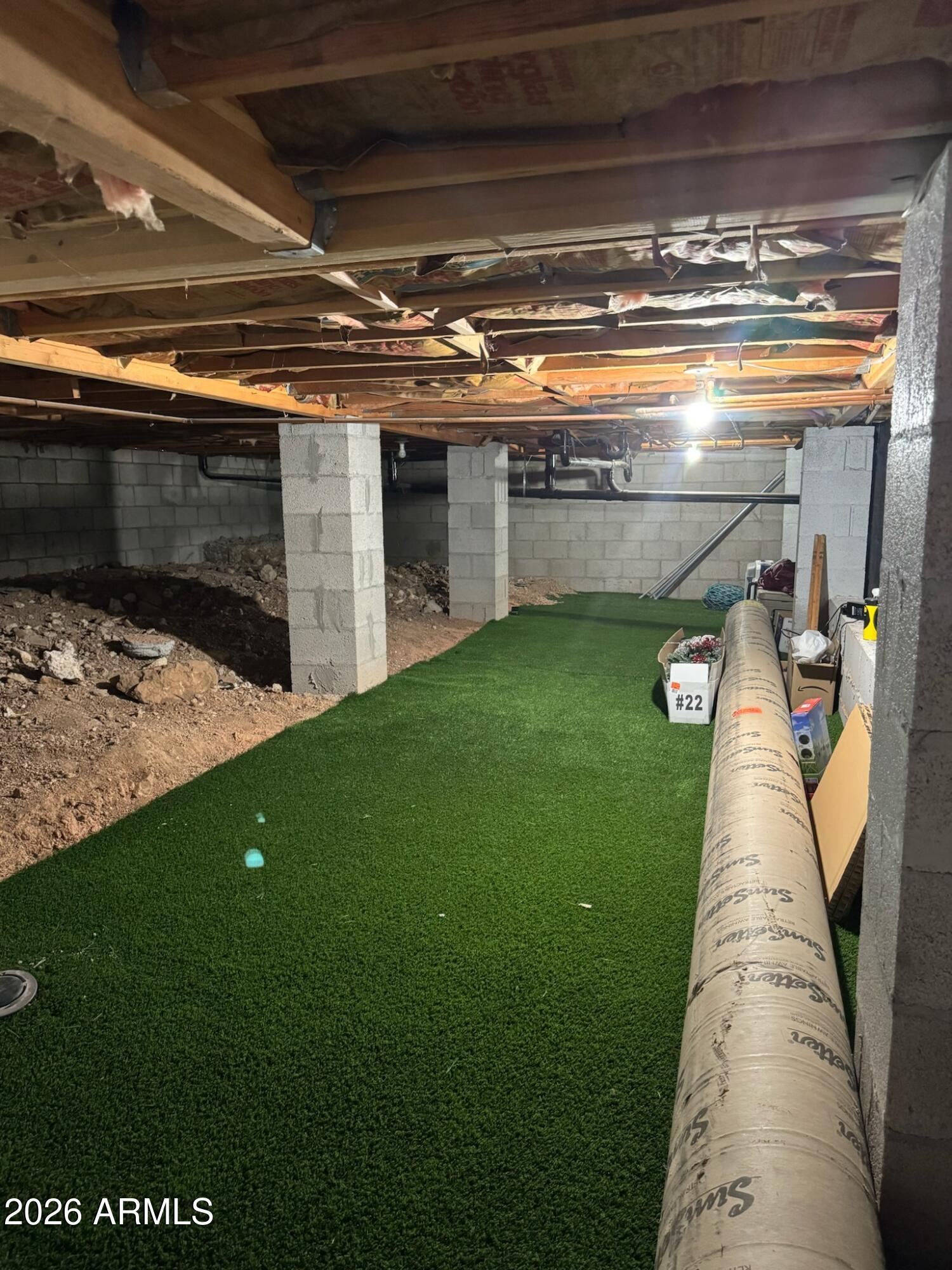 6123 South Kings Ranch Road Gold Canyon, AZ 85118 - Photo 31 of 42 Storage in basement