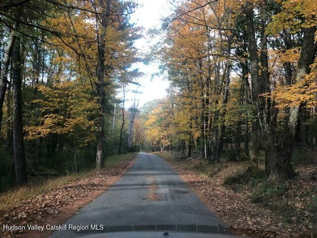 154 Lang Road Accord, NY 12404 - Photo 38 of 40 IMG_0494