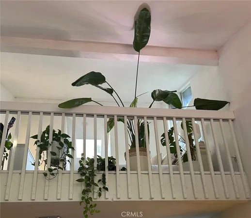 a living room with furniture a potted plant and a window