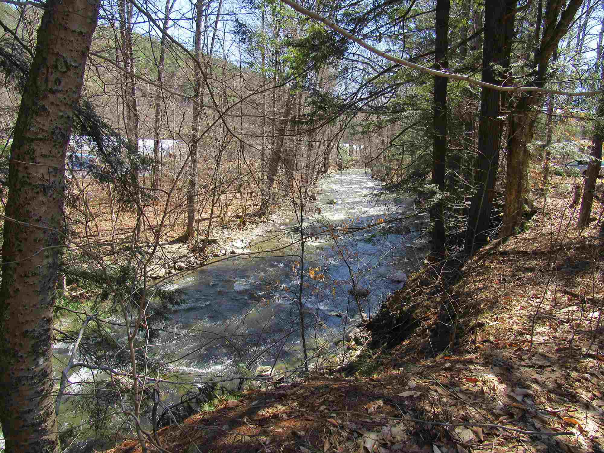110 Browns Road Newfane, VT 05345 - Photo 8 of 18