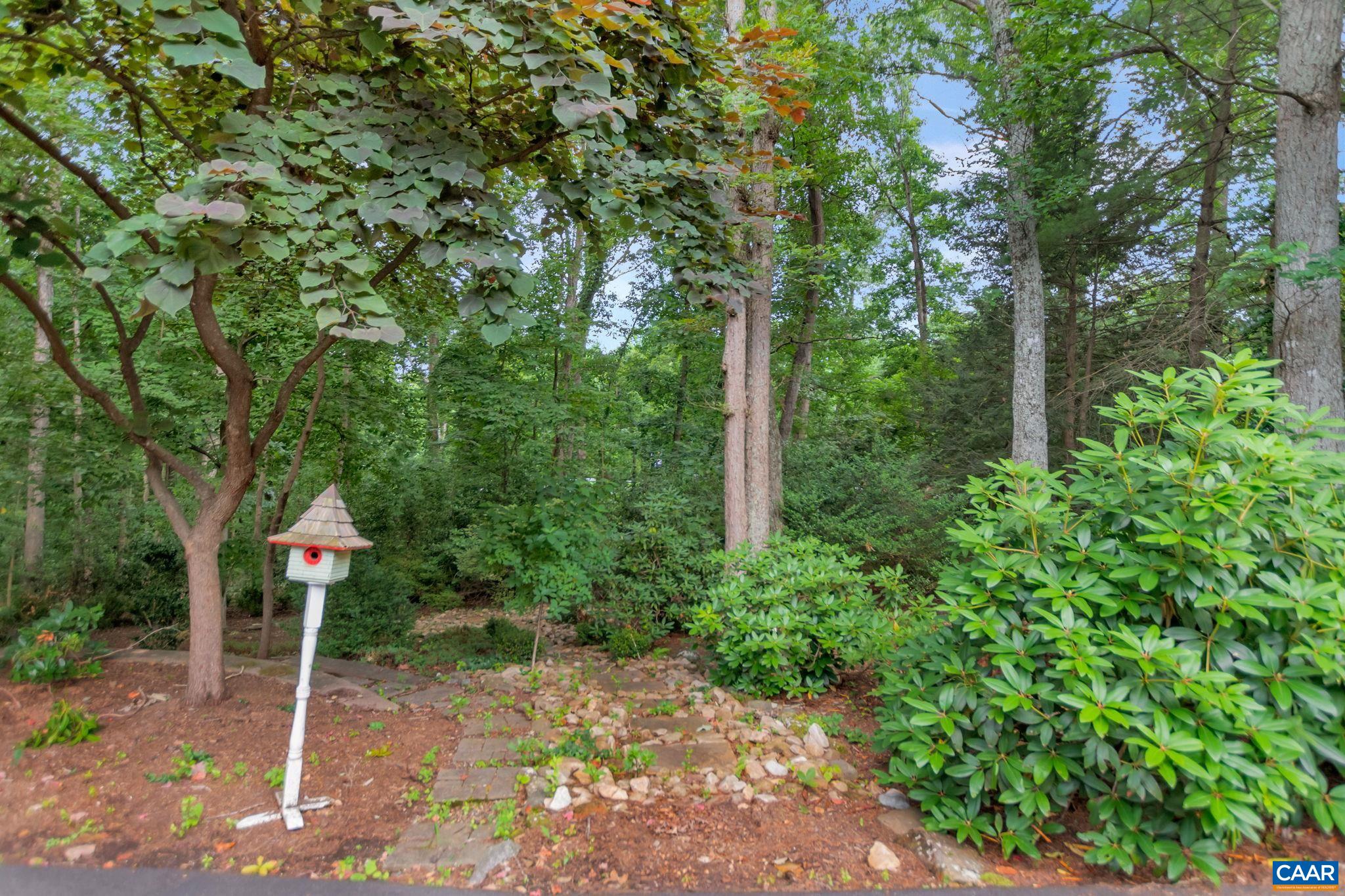 314 Westminster Road Charlottesville, VA 22901 - Photo 43 of 49 a backyard of a house with lots of green space