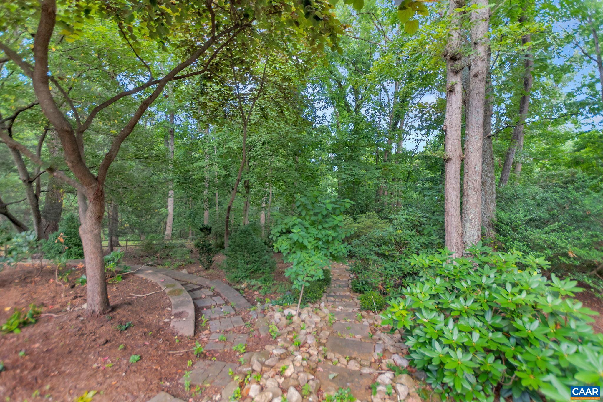 314 Westminster Road Charlottesville, VA 22901 - Photo 44 of 49 a view of a forest with trees