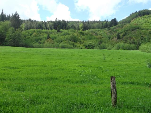Tl#101 East Beaver Creek Road Beaver, OR 97112 - Photo 13 of 13 013