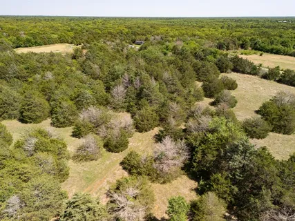 a view of a bunch of trees with lots of trees