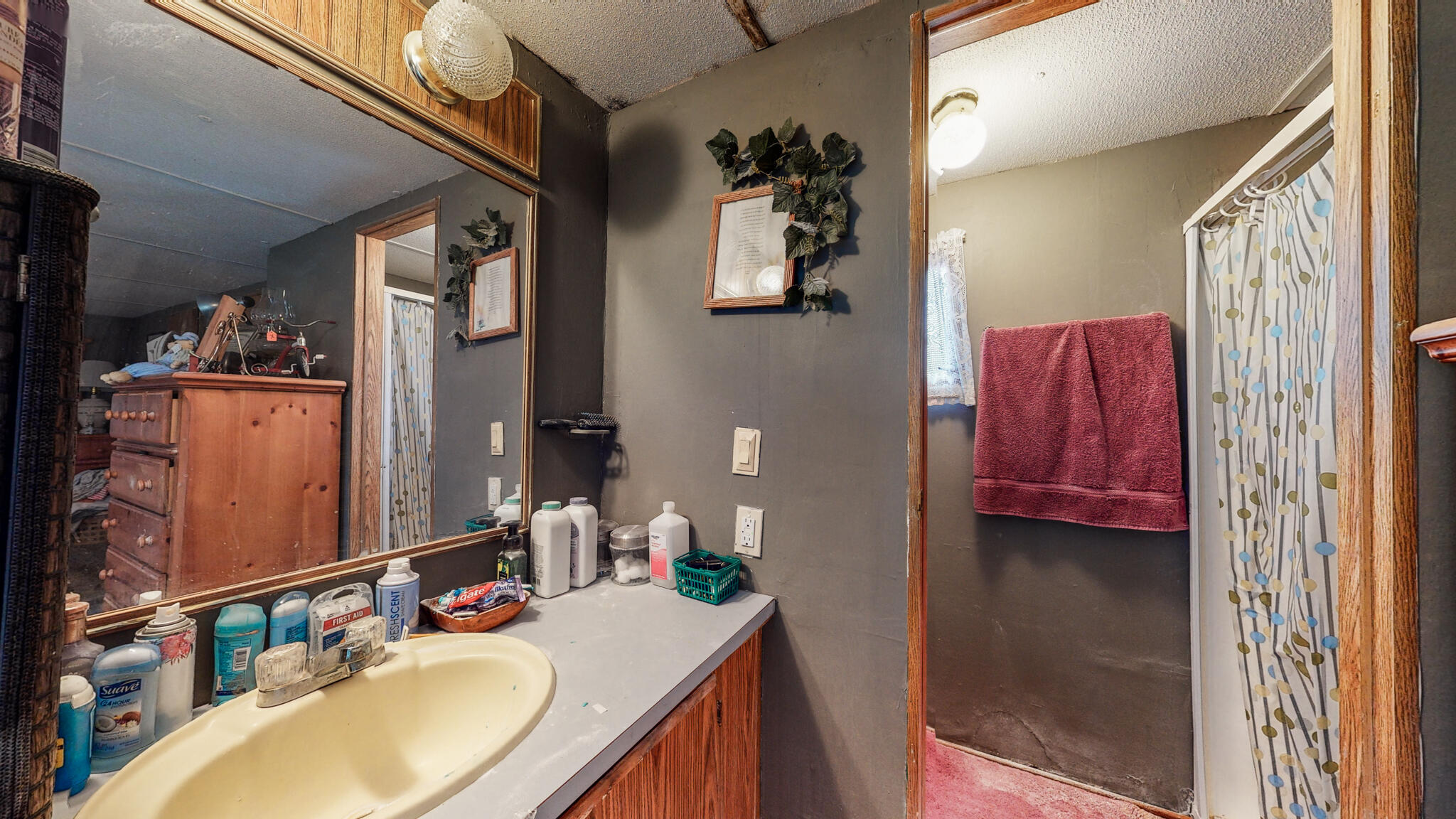 390 Bell Farm Road Jeffersonville, KY 40337 - Photo 6 of 49 390 Bell Farm Rd Jeffersonville KY 40337