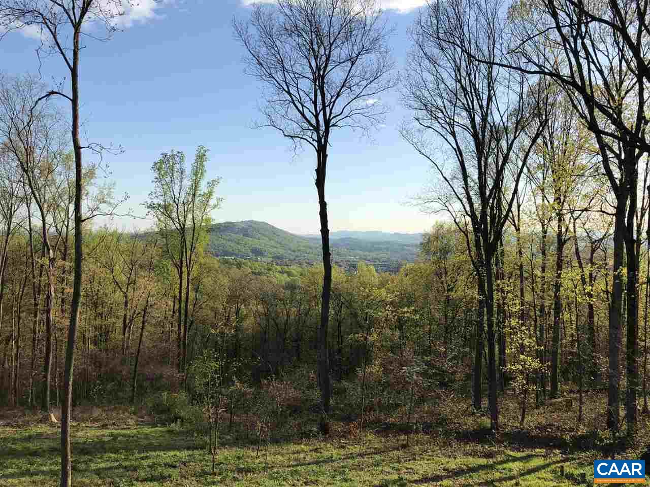 2428 Summit Ridge Trail Charlottesville, VA 22911 - Photo 46 of 47 Gallery Image 46