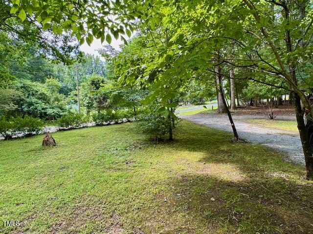 951 Harris Mill Road Rougemont, NC 27572 - Photo 80 of 89 IMG_3076