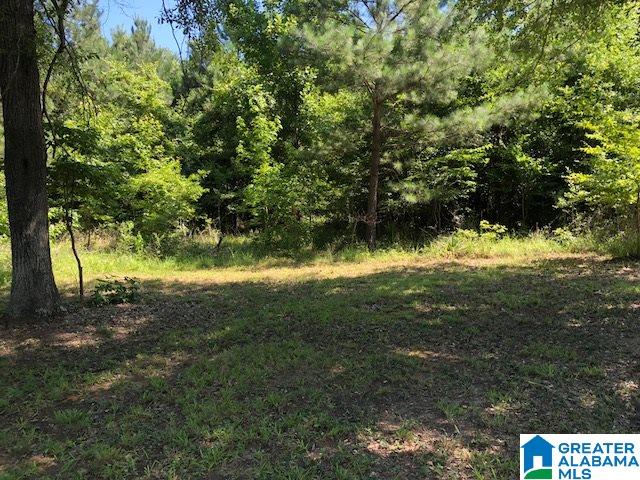 0 Bankhead Road, Unit 32 Quinton, AL 35130 - Photo 2 of 5