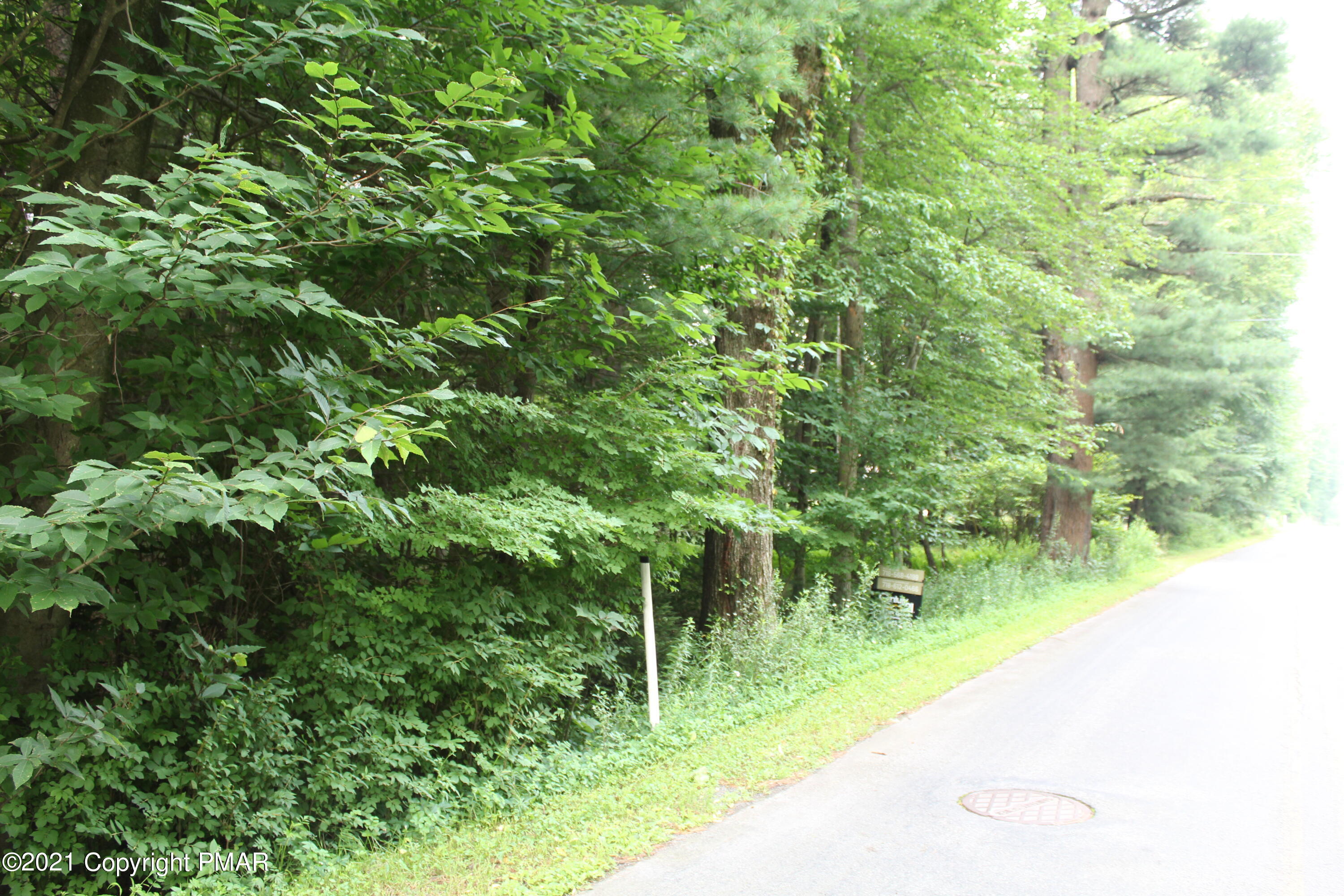 639 Ferncrest Road Blakeslee, PA 18610 - Photo 2 of 9 a view of a garden with a tree