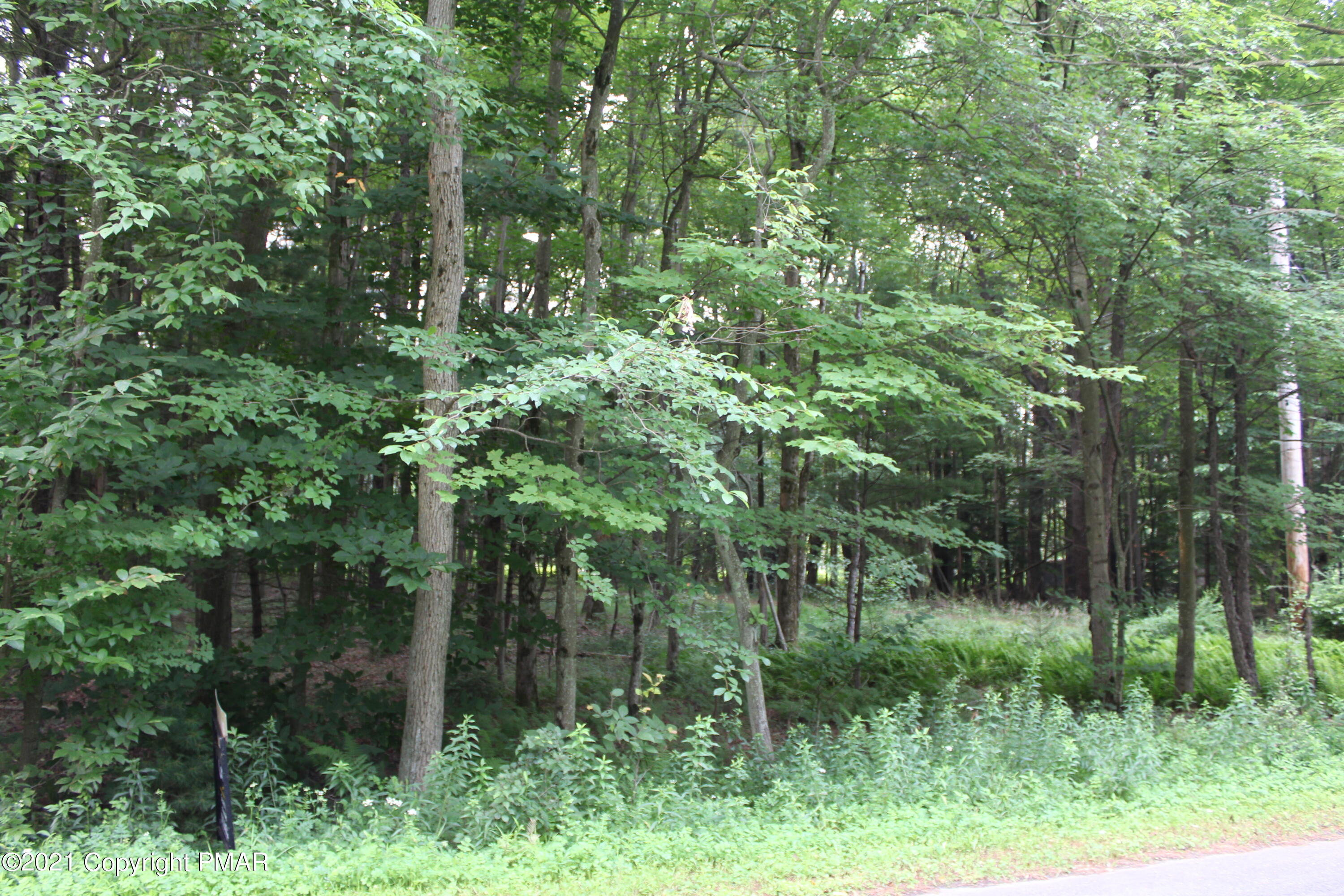 639 Ferncrest Road Blakeslee, PA 18610 - Photo 4 of 9 a view of a lush green forest
