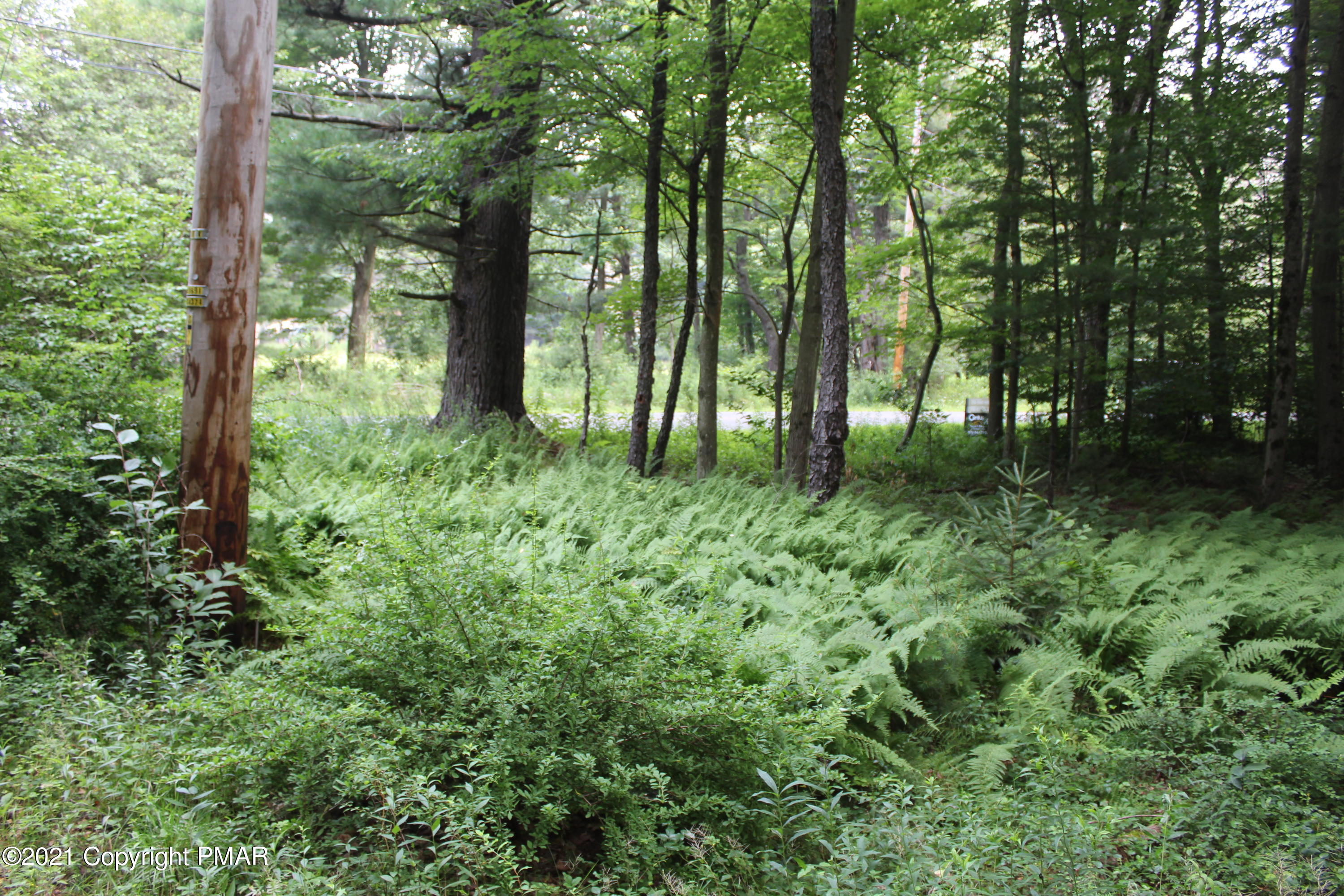 639 Ferncrest Road Blakeslee, PA 18610 - Photo 7 of 9 a big yard with lots of green space and trees