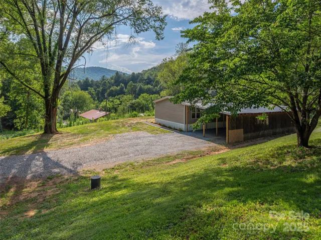 a view of a yard with a tree