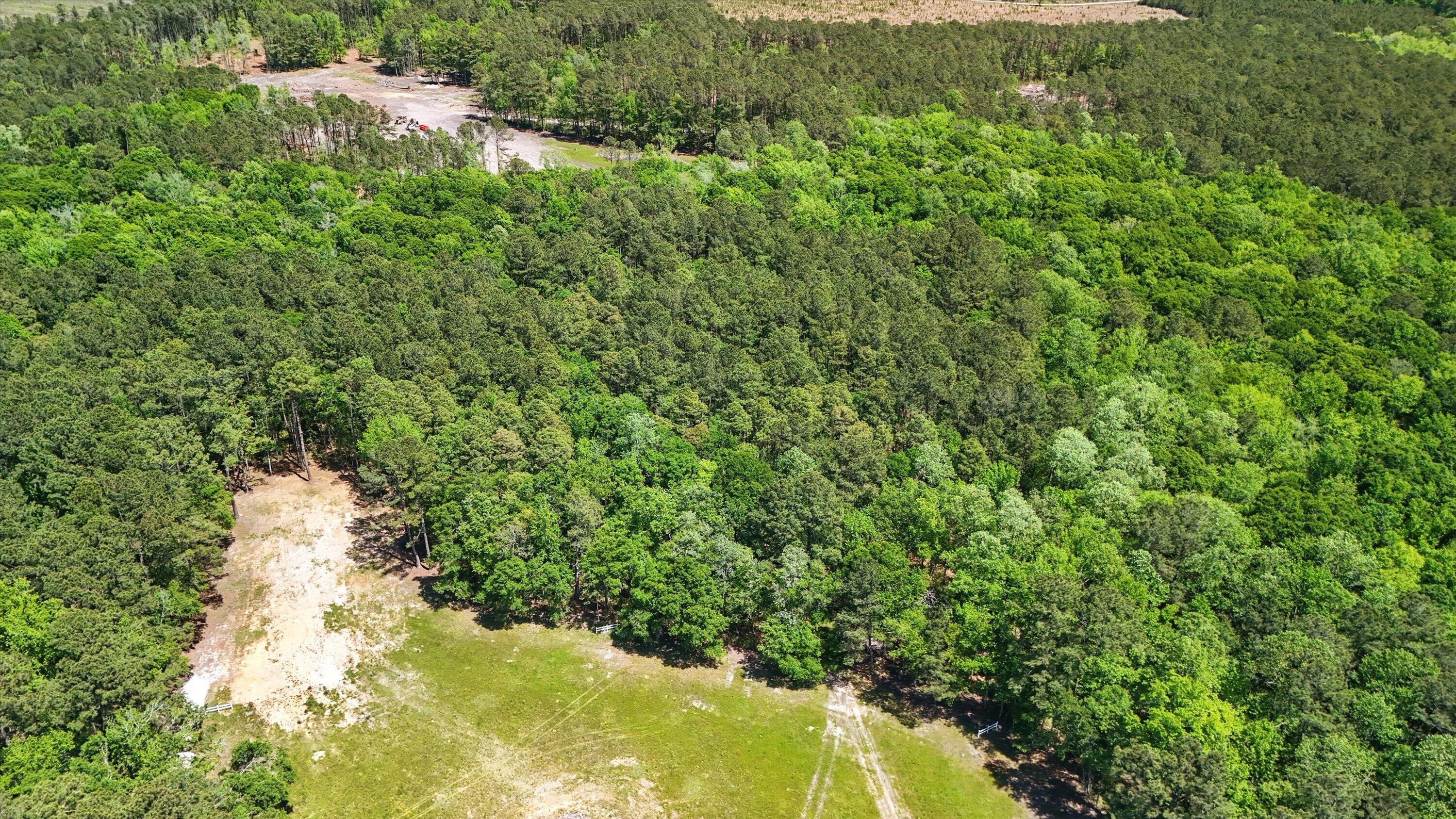 384 Fish Road Estates Lane Ridgeville, SC 29472 - Photo 3 of 6 Aerial