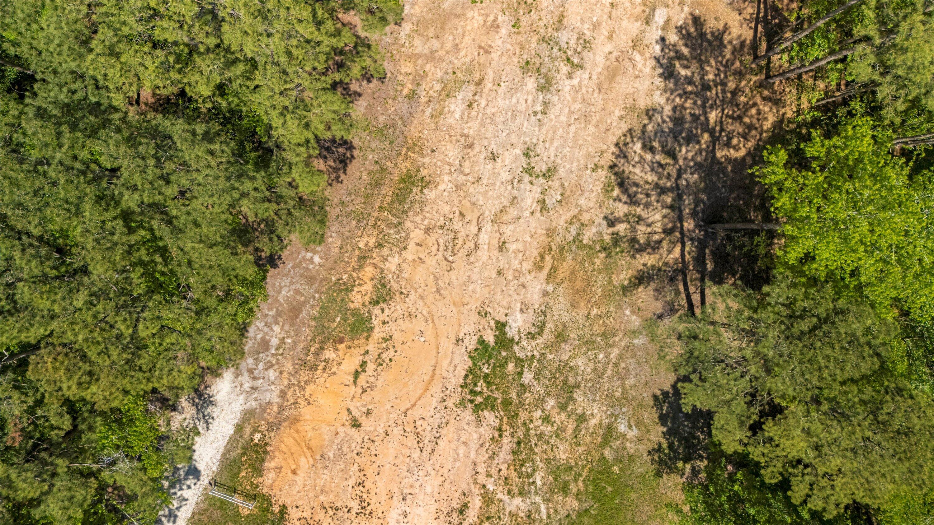 384 Fish Road Estates Lane Ridgeville, SC 29472 - Photo 4 of 6 Dirt road