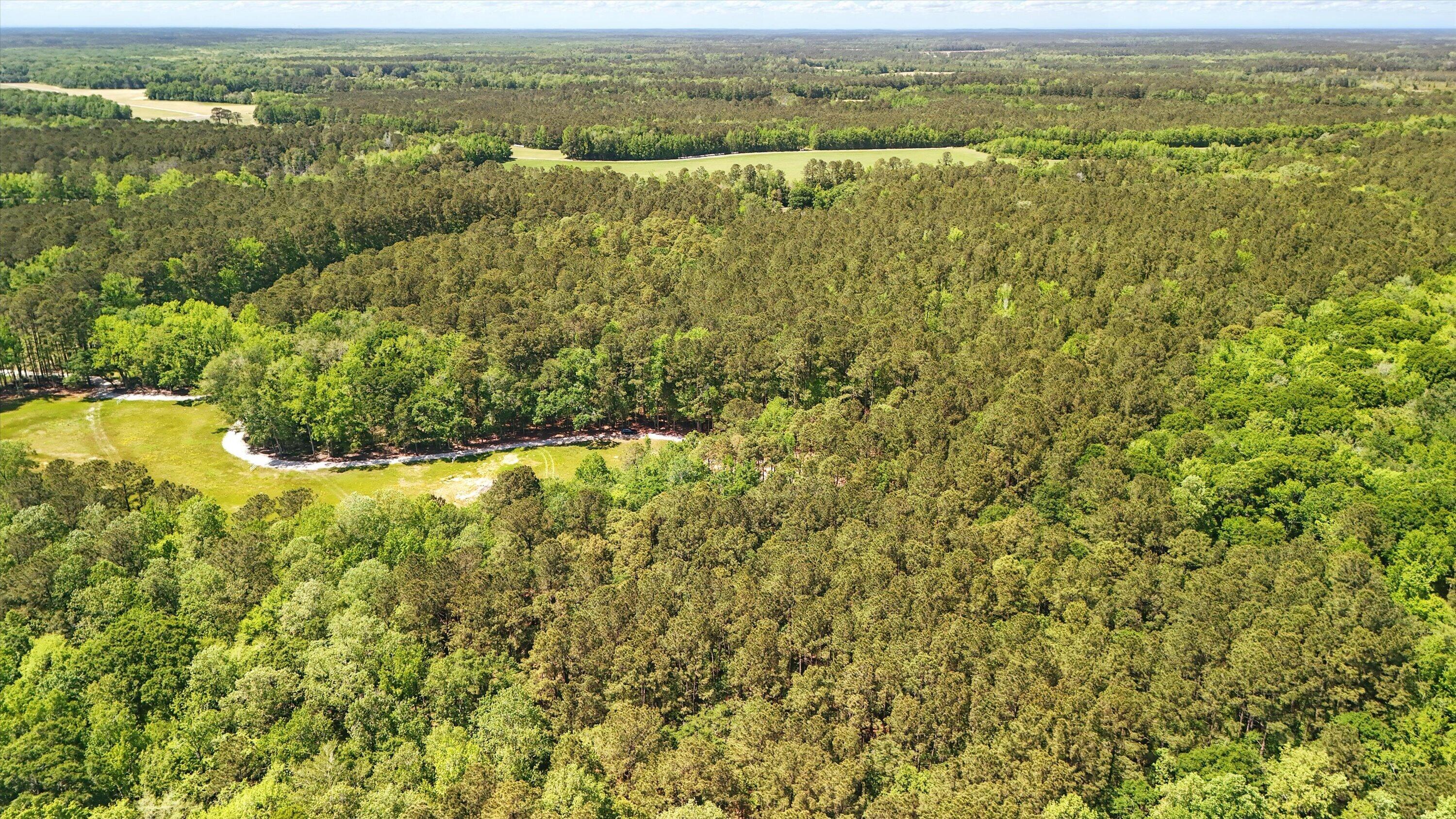 384 Fish Road Estates Lane Ridgeville, SC 29472 - Photo 5 of 6 Water