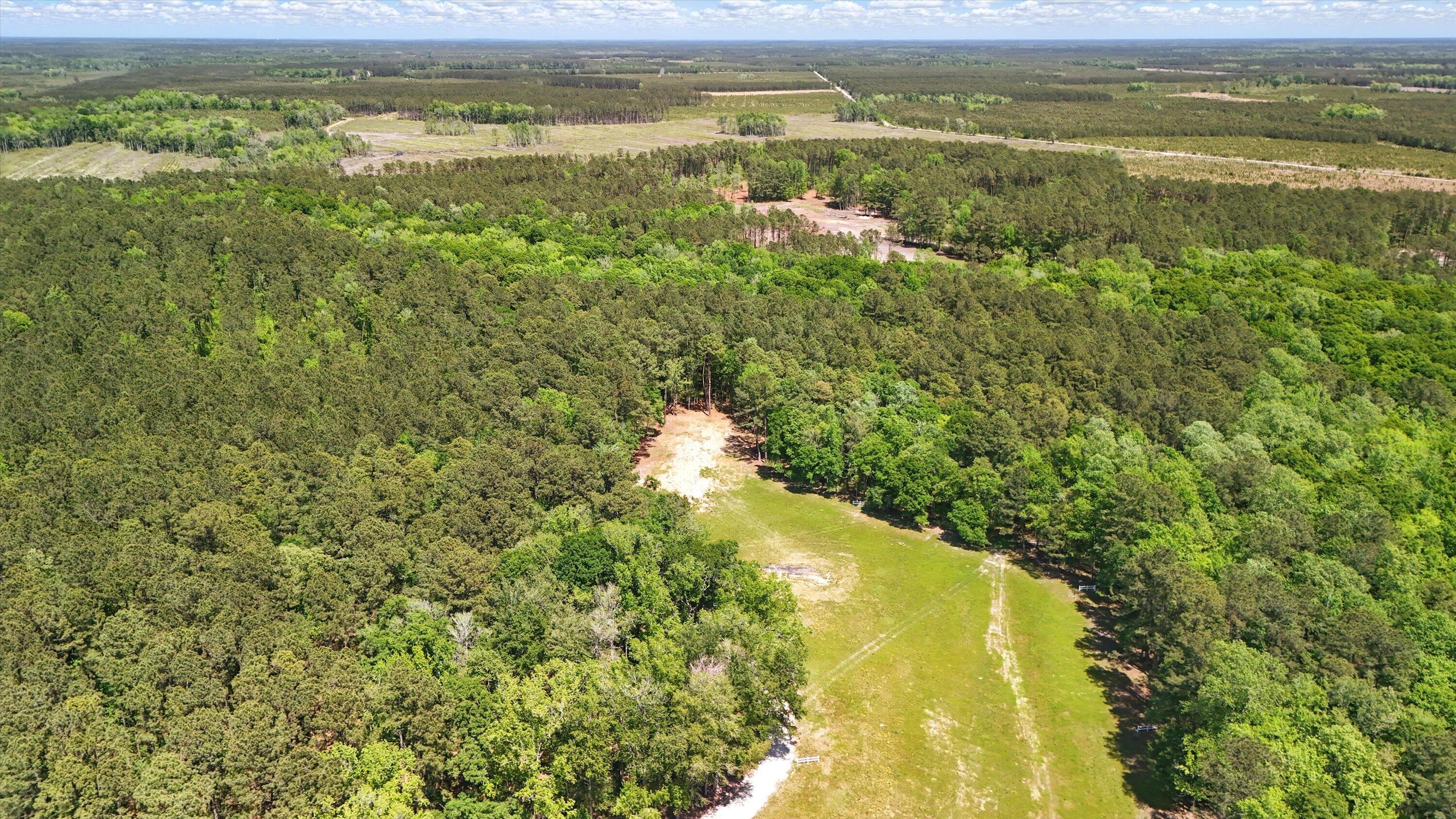 384 Fish Road Estates Lane Ridgeville, SC 29472 - Photo 6 of 6 Above