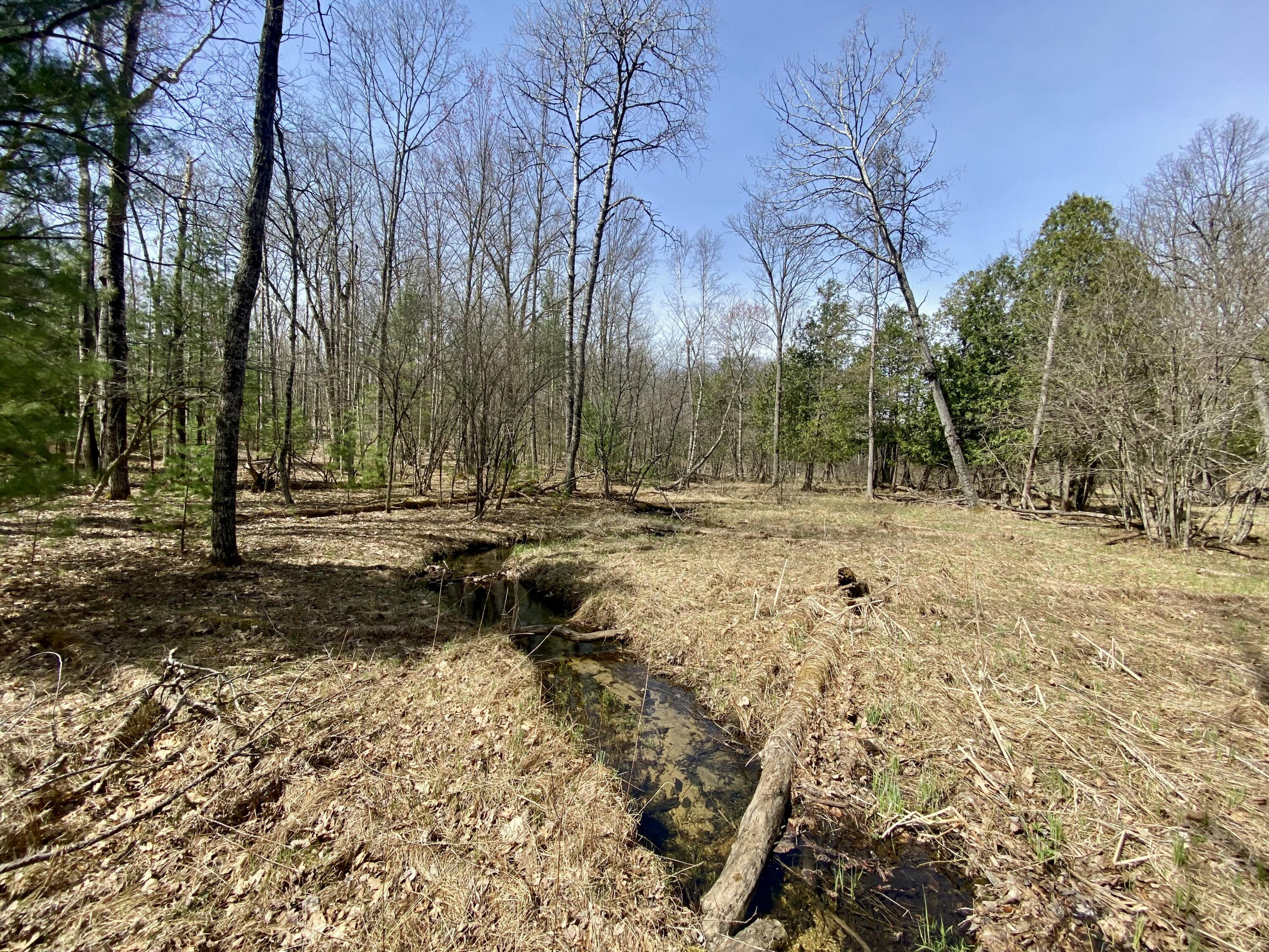9.75 Acres Snyder Road Wellston, MI 49689 - Photo 1 of 17 IMG_1725 2