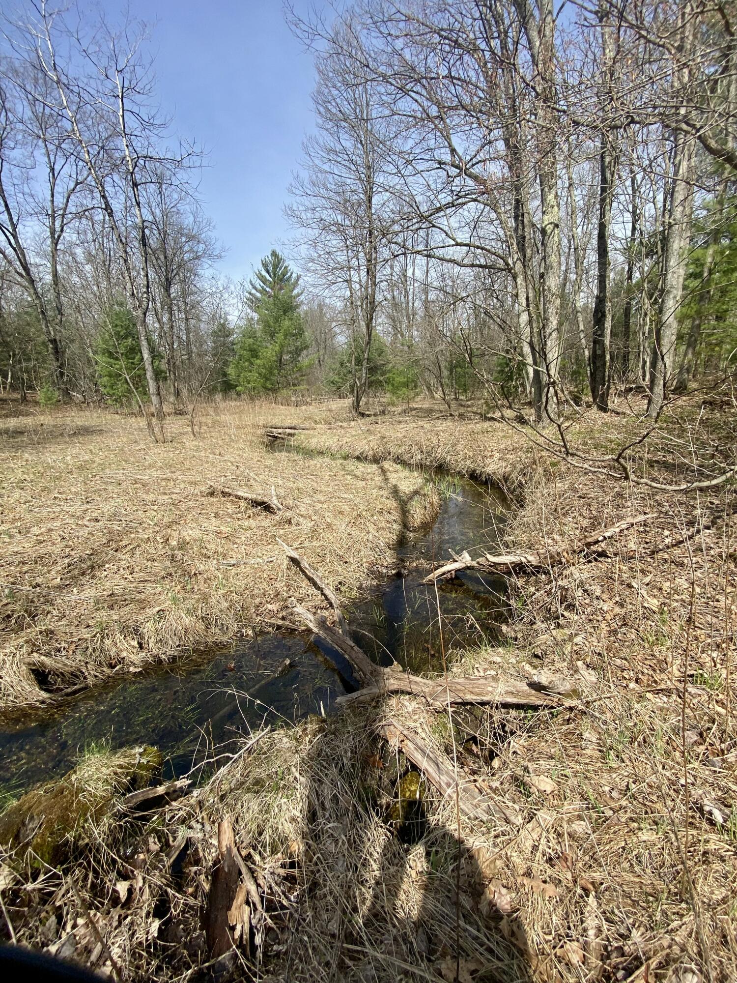 9.75 Acres Snyder Road Wellston, MI 49689 - Photo 11 of 17 IMG_1718