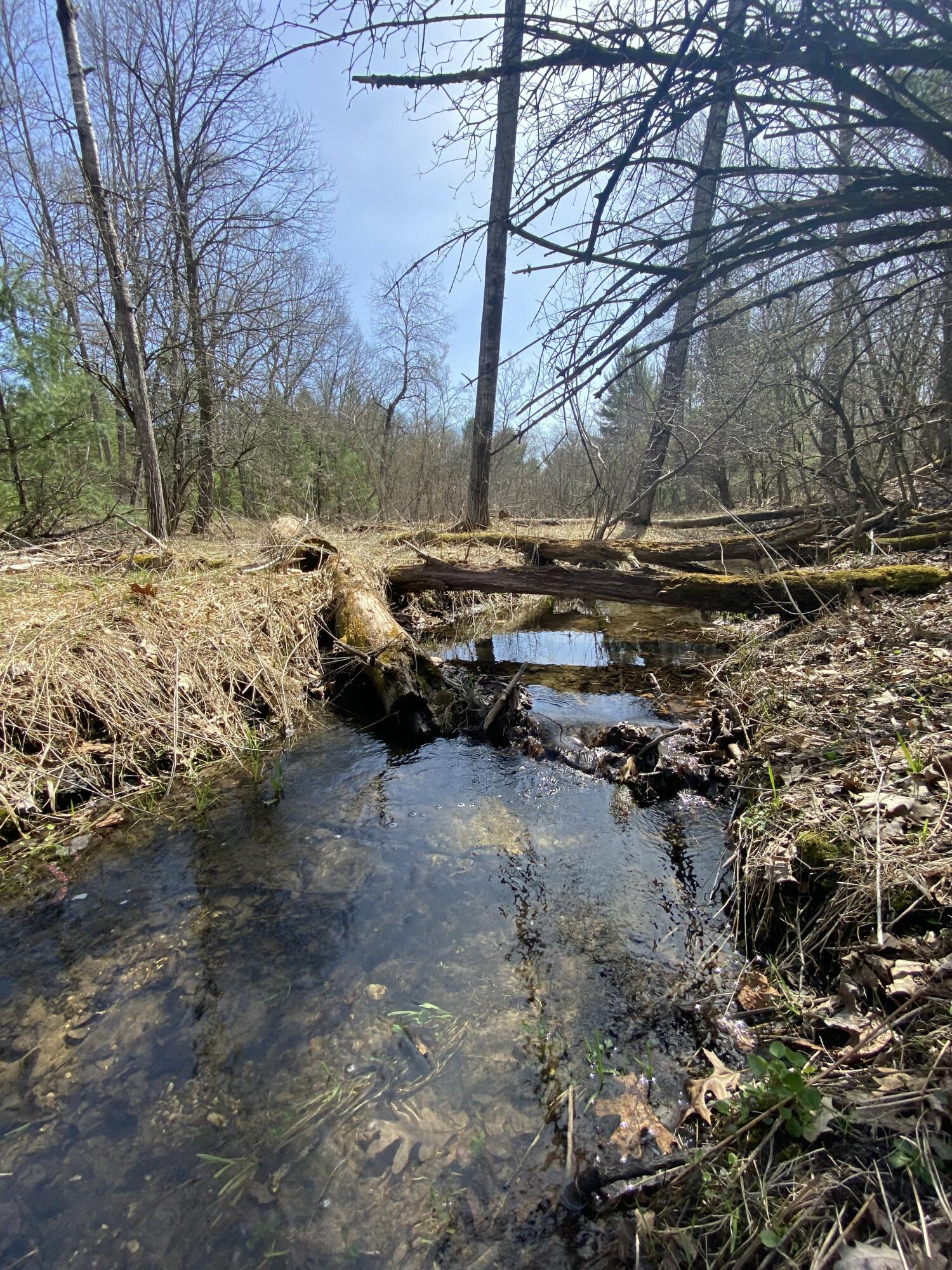 9.75 Acres Snyder Road Wellston, MI 49689 - Photo 2 of 17 9.75 Acres Snyder Rd
