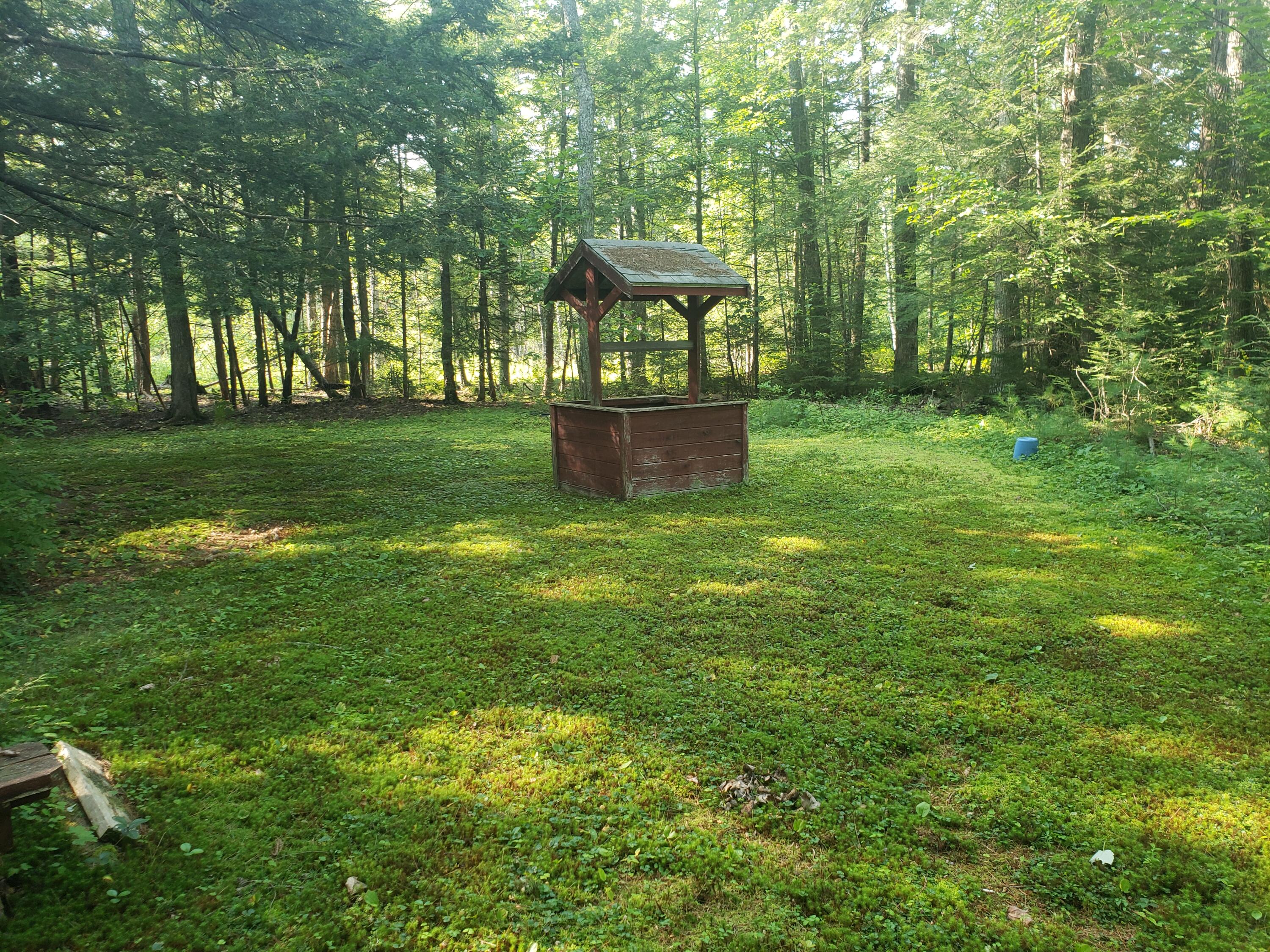 28 Downing Road Arundel, ME 04046 - Photo 6 of 6 right yard