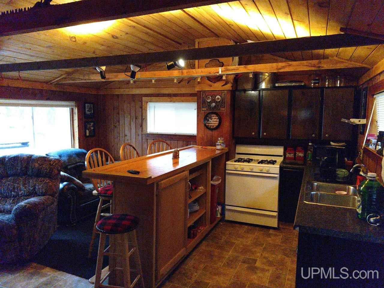 W1400 Co Road Gwinn, MI 49841 - Photo 6 of 22