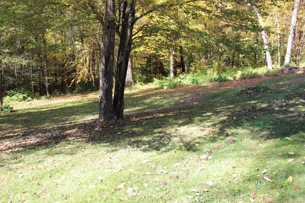 229 Barnard Road Shelburne, MA 01370 - Photo 33 of 42 Gallery Image 33