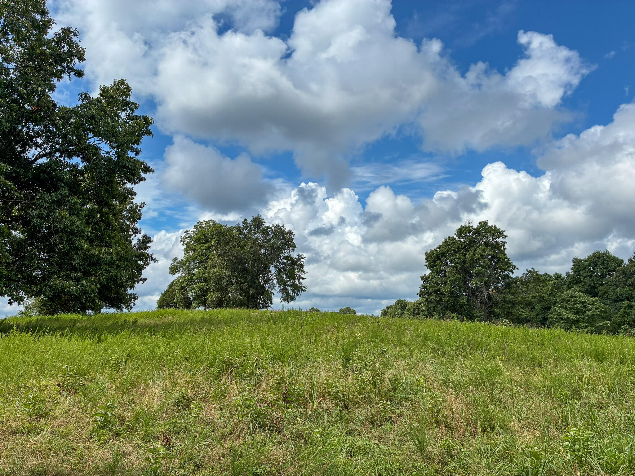 121 Legacy Farms Road Chestnutridge, MO 65630 - Photo 28 of 60 1(23)