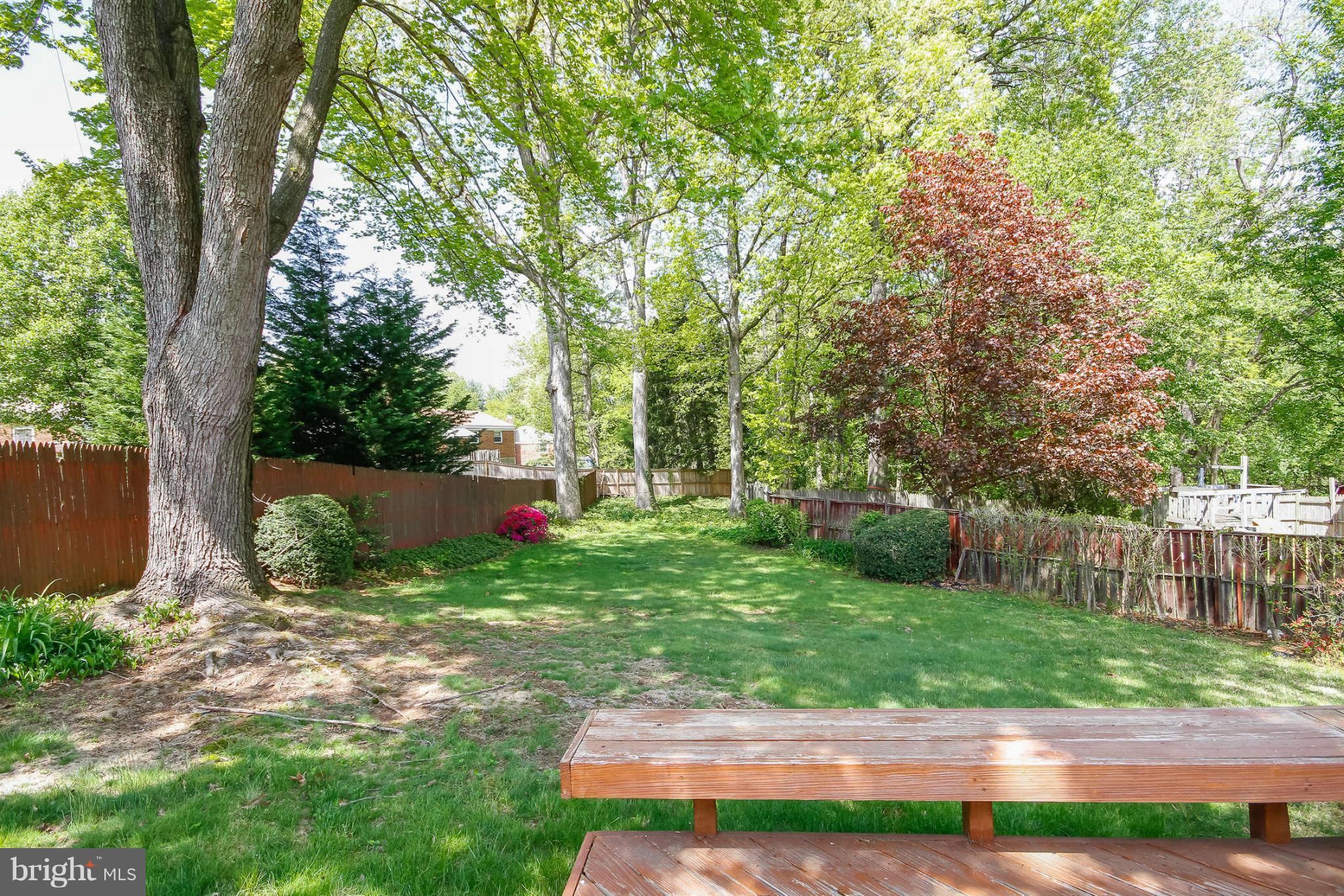 10906 Fiesta Road Silver Spring, MD 20901 - Photo 23 of 24 View