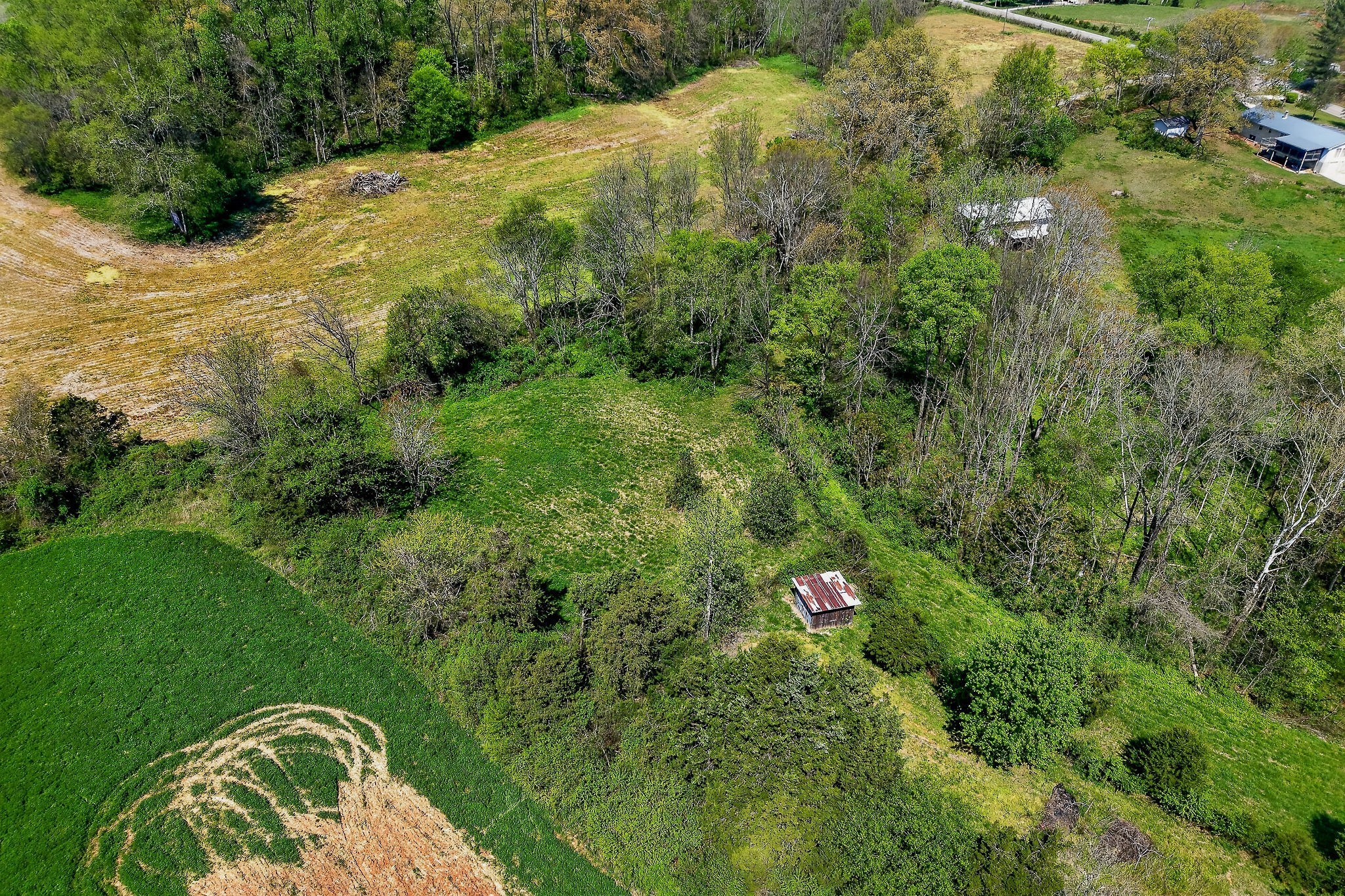 463 Franks Ferry Road Sparta, TN 38583 - Photo 46 of 53