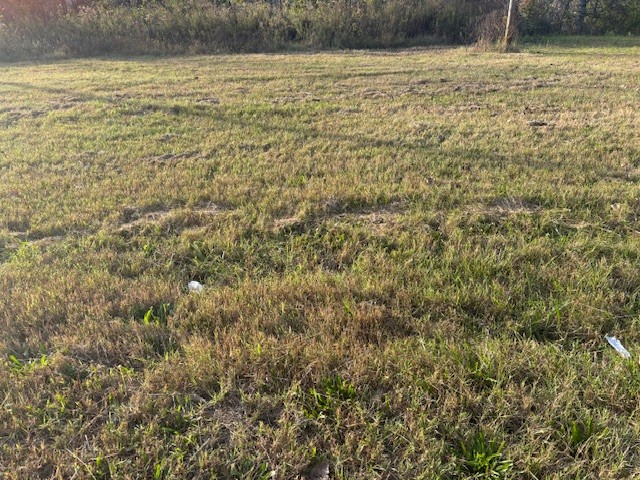 0 31 E Highway Bethpage, TN 37022 - Photo 2 of 2 a view of a lake view