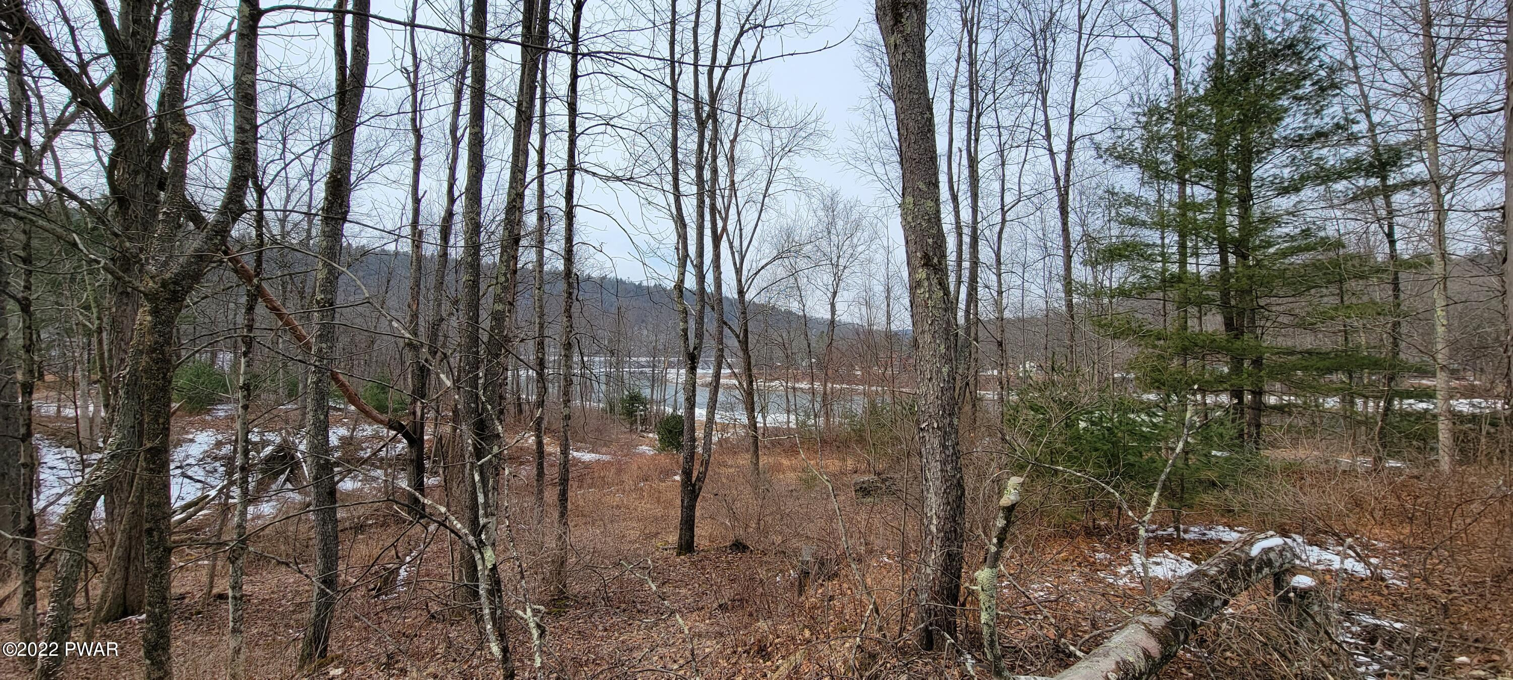 Lot 5.2 Humphrey Road Narrowsburg, NY 12764 - Photo 25 of 51