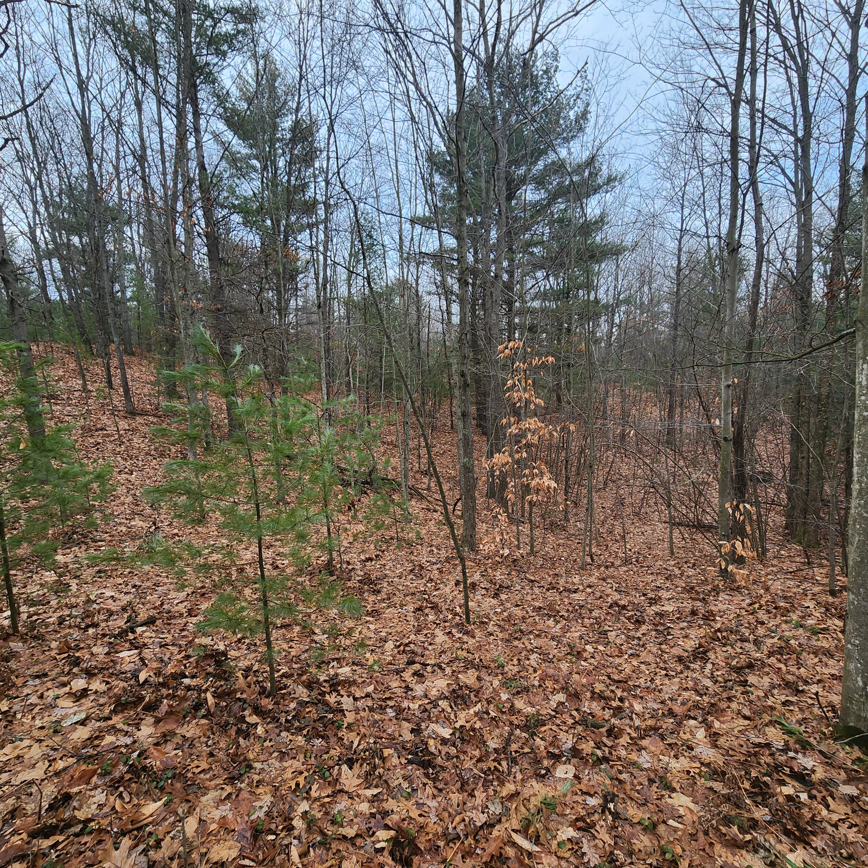 4869 Wayne Road Pentwater, MI 49449 - Photo 14 of 17 20